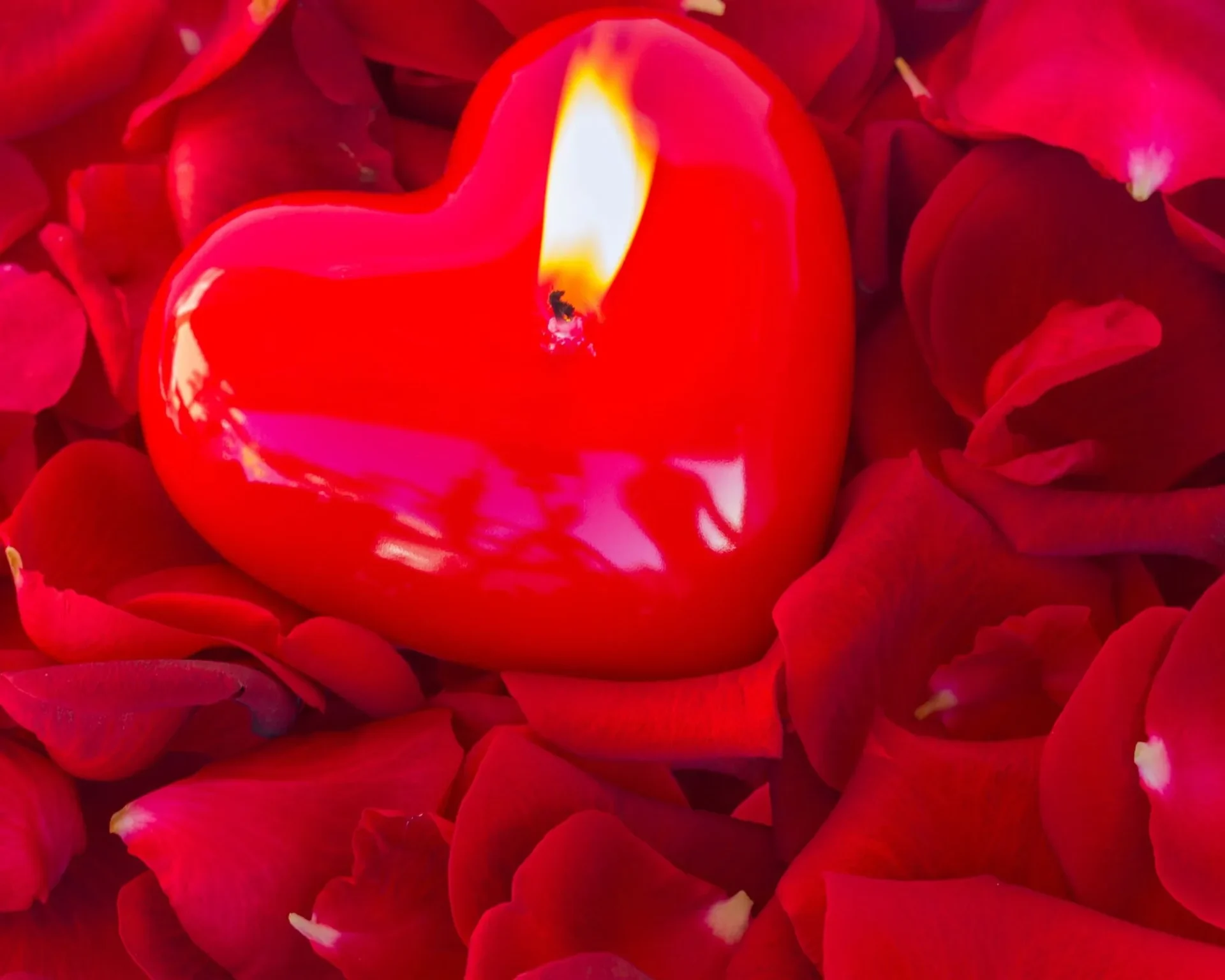 Love Ritual Specialist in Toronto